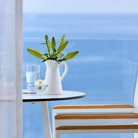 Citrus Exclusive * آغيوس نيكولاوس